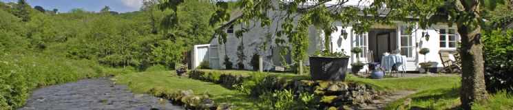 Unique Home Stays