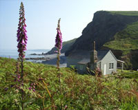 Uk Self-catering Membership